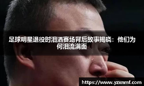 牛八体育与球迷为一体