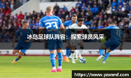 冰岛足球队阵容：探索球员风采