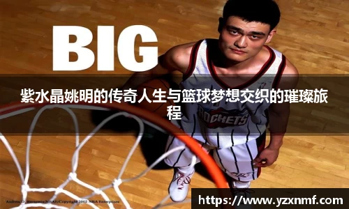 ⽜⼋体育 - 与球迷合为⼀体